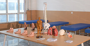 医学检验技术专业