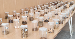 制药技术应用专业